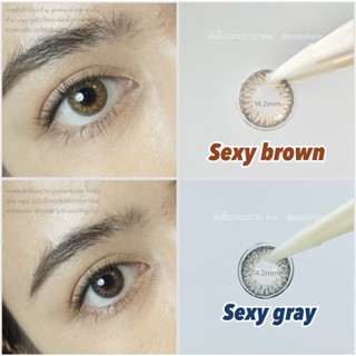 คอนแทคเลนส์ Protrendcolor รุ่น sexy (14.2mm.)