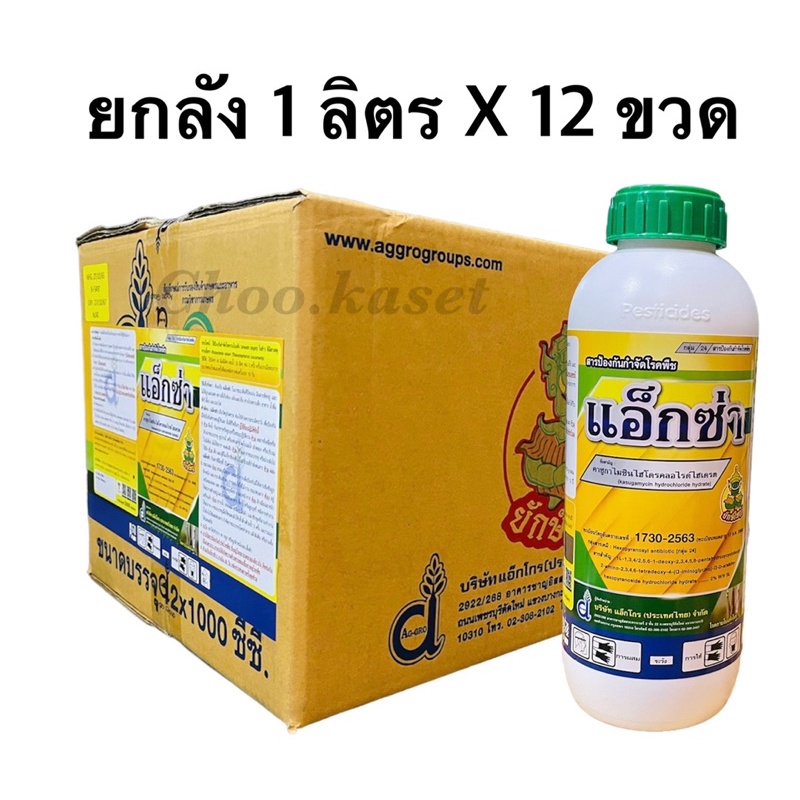 แอ็กซ่า #คาซูกาไมซินไฮโดรคลอไรด์ไฮเดรต2% ป้องกันเชื้อราและแบคทีเรีย 12 ลิตร
