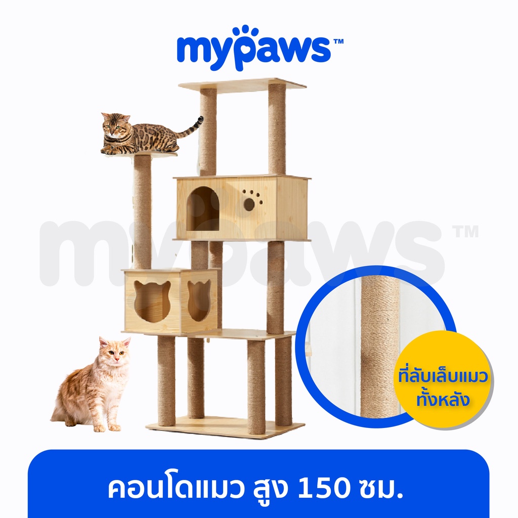 [🔥3.15ลดสูงสุด100.-]My Paws New !!คอนโดแมว ไม้ทั้งหลัง สูง 150 ซม. (C) พร้อมเปล บ้าน บันได