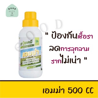 ปุ๋ยน้ำจอมยุทธ์ ปุ๋ยน้ำเอมม่า 500 ซีซี ป้องกันเชื้อรา กำจัดเชื้อรา รากไม่เน่า สร้างภูมิคุ้มกันพืช