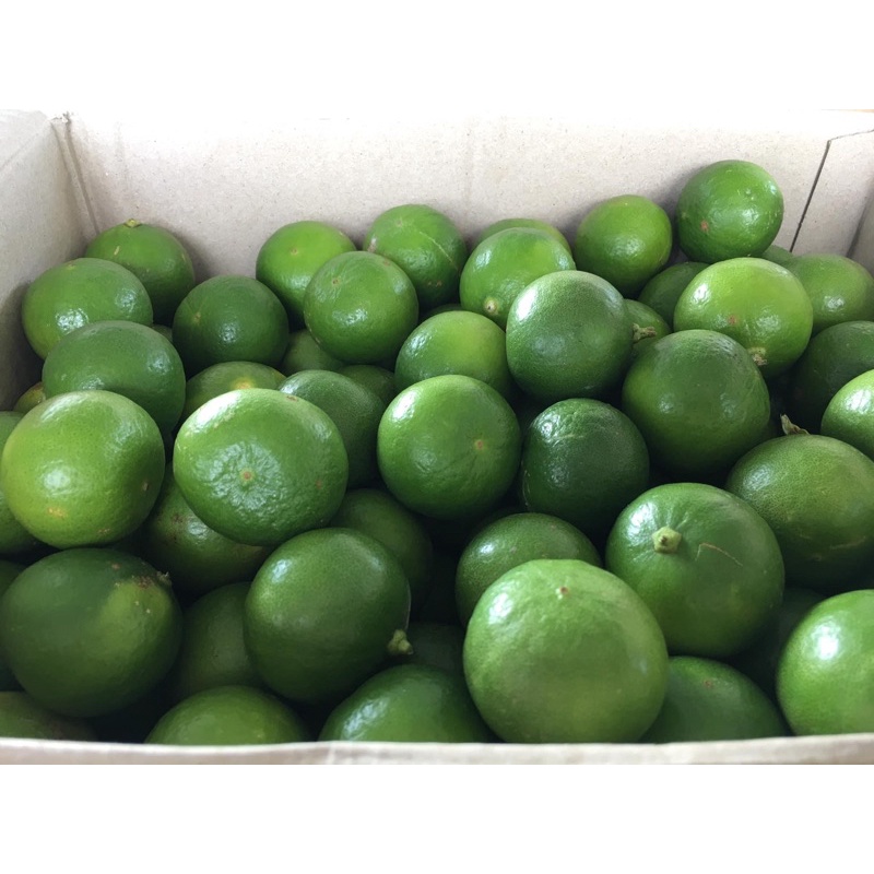 มะนาวแป้นรำไพแท้หอมเปลือกบางน้ำดีได้ (100 ลูก)🍋🍋 เบอร์ 500