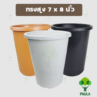 PAULA กระถางทรงสูง 8 x 7 นิ้ว กระถางปลูกตอ กระถางไม้กราฟ หนา ทรงกระบอก กลม ขนาดใหญ่ สีขาว กระถางแคคตัส แคคตัส