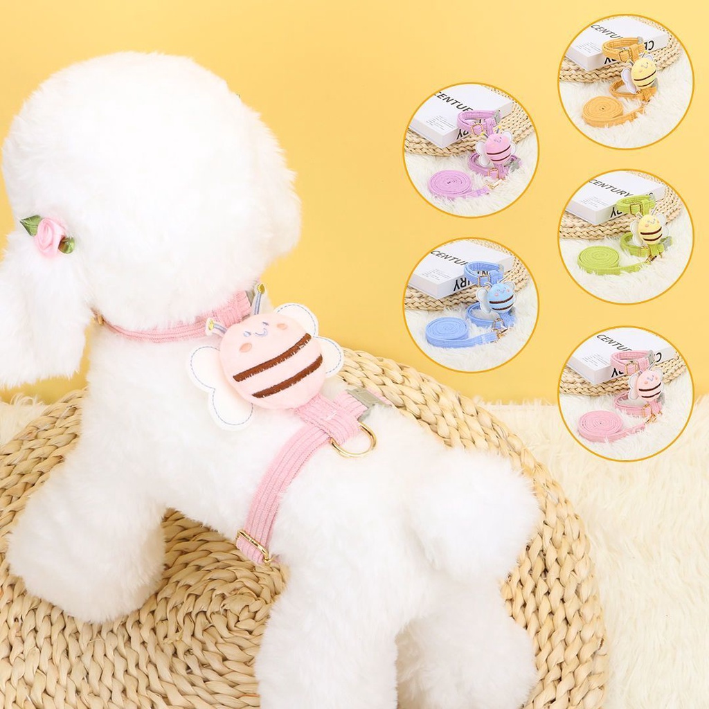 รูปภาพ 2