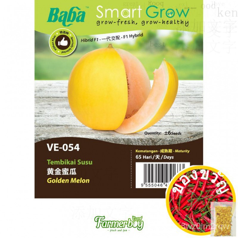 เมล็ดพืชผักเมล็ดบาบา VE-054เมล็ดแตงโมเมล็ดแตงโมสีทอง YBT5