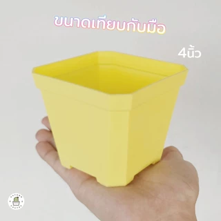 ✨✨กระถางพาสเทล กระถางต้นไม้ กระถางแคคตัส ทรงสี่เหลี่ยม สีขาว ใส ฟ้า ชมพู เหลือง 3นิ้ว 4นิ้ว ✨✨