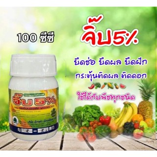 เมเจอร์จิพ5(จิบเบอเรลลิก5%)#จิ๊บ5% 100 ซีซี