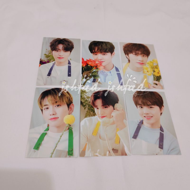 Photocard DISK PHOTO BINDER MD BLOOMING TREASURE MASHIHO YEDAM DOYOUNG JUNGHWAN HARUTO JIHOON YOSHI 