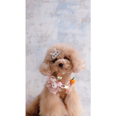 สร้อยคอ Popoori Missha/ สร้อยคอสัตว์/ สร้อยคอ CNY/ สร้อยคอแฟชั่น/ ตรุษจีน