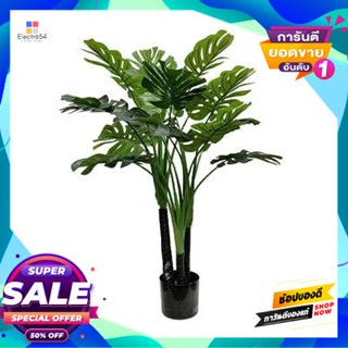 Monstera ต้นมอนสเตอร่า (M) รุ่น LYGB12005 สีเขียว Monstera Tree (M) FONTE LYGB12005 Green