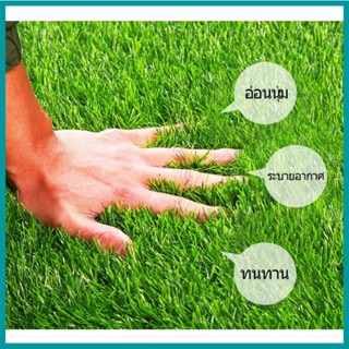 ปลีก/ส่ง หญ้าเทียม หญ้าเทียมเกรดเอ หญ้าเทียมม้วน จัดส่งฟรีทั่วประเทศ หญ้าแผ่นหนา สำหรับตกแต่งสวน ตกแต่งบ้าน จัดสวน G0327