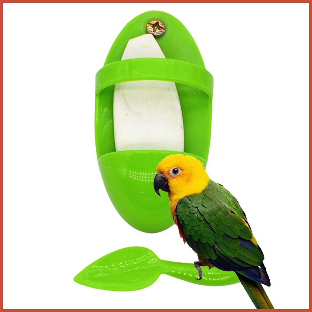 Cuttlebone สําหรับ Bird Cage Cuttlefish Bone Holders Bird Cage ถ้วยให้อาหาร Bird Cage อุปกรณ์เสริมผล
