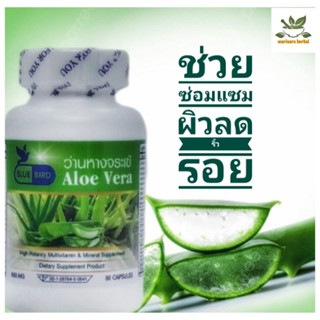 ว่านหางจรเข้ Aloe vera 600 มิลลิกรัม 60แคปซูล ตราบลูเบิร์ด