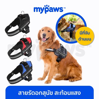 [🔥MYPAWS100]  My Paws สายรัดอกสุนัข สุนัขใหญ่ เสื้อกั๊กสุนัข ปรับขนาดได้ มีแถบท้อนแสง (G)