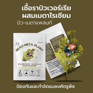 บิวเวอร์เรีย ผสม เมธาไรเซียม (500g) กำจัดแมลงศัตรูพืชทุกชนิด เพาะเชื้อจากห้องLAB100% ออร์แกนิคแท้ ปลอดภัย