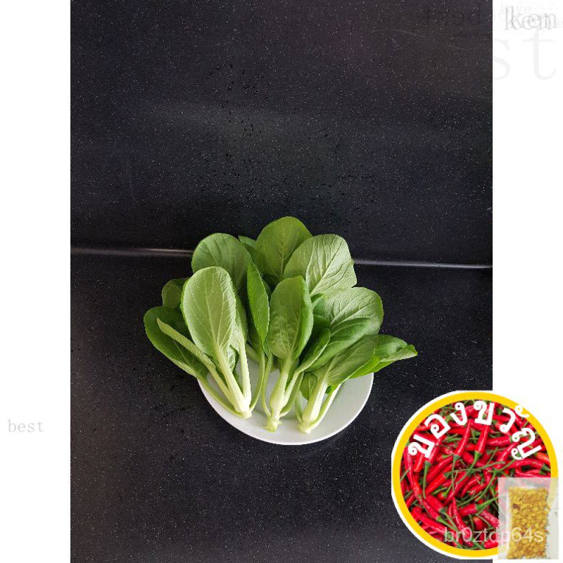 เม่านบังแดด Bok Choy/แม่และเด็ก/สวน/มะละกอ/ทานตะวัน/แอปเปิ้ล/กระโปรง/ผักชี/อัญมณี/ที่รองเชค BGYP