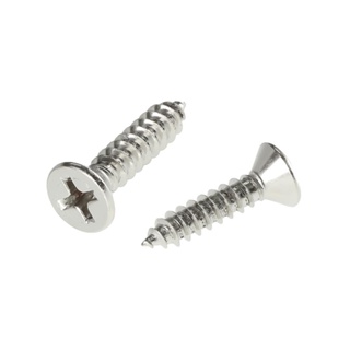 SELF-TAPPING สกรูเกลียวปล่อย TF 8X3/4 นิ้ว 25 ตัวSELF-TAPPING SCREW TF 8X3/4" 25PCS