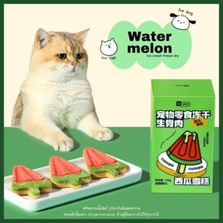 พร้อมส่ง❗️watermelon ฟรีซดราย รูปทรงไอติมน่ารักน่าทานสุดๆ