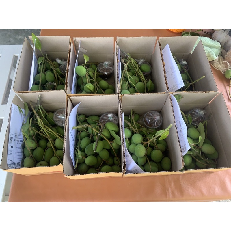 รูปภาพ 2