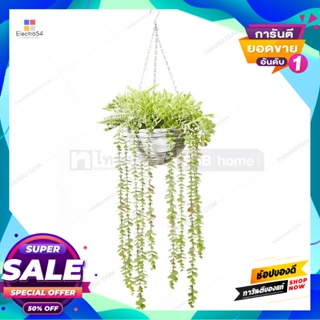 Artificial ใบเดฟประดิษฐ์พร้อมกระถางแขวน รุ่น 190447B สีเขียว Artificial Dave Leaves with Hanging Pot FONTE No.190447B Gr