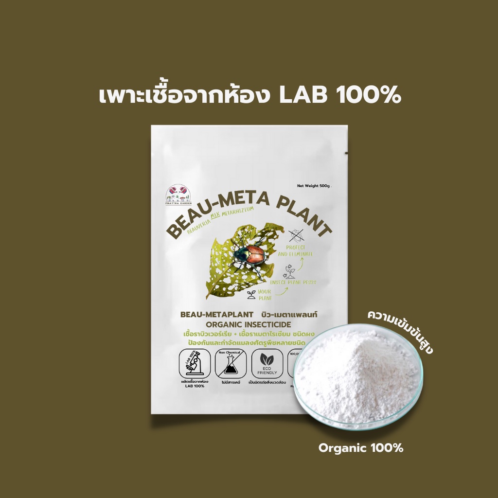 บิวเวอร์เรีย ผสม เมธาไรเซียม 1kg ราคาส่ง กำจัดแมลงศัตรูพืชทุกชนิด ออร์แกนิค ปลอดภัย รูปที่ 7