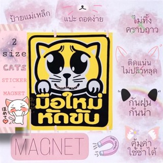 มี 2 ขนาด แบบแม่เหล็ก - สติ๊กเกอร์ มือใหม่หัดขับ น่ารัก ❤️ กันน้ำ ทาสแมว sticker สติกเกอร์ ป้ายติดรถยนต์ cat จุ๊บ แต่งรถ