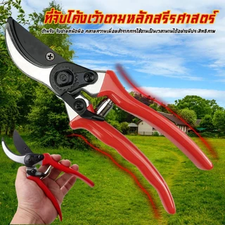 ✂️ สินค้าพร้อมส่ง✂️กรรไกรตัดกิ่งไม้ กรรไกรตัดหญ้า แต่งสวน กรรไกรตัดกิ่ง sk5#B-097