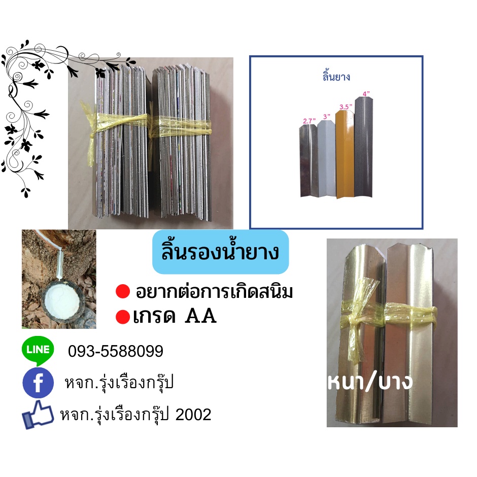 ลิ้นรองน้ำยาง ลิ้น 1 กิโล