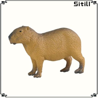 [ขาตั้ง] ฟิกเกอร์ Capybara, Playset ของเล่นเพื่อการเรียนรู้ สําหรับเด็กวัยหัดเดิน