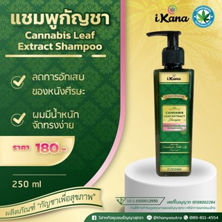 แชมพูกัญชา (Cannabis Leaf Extract Shampoo)