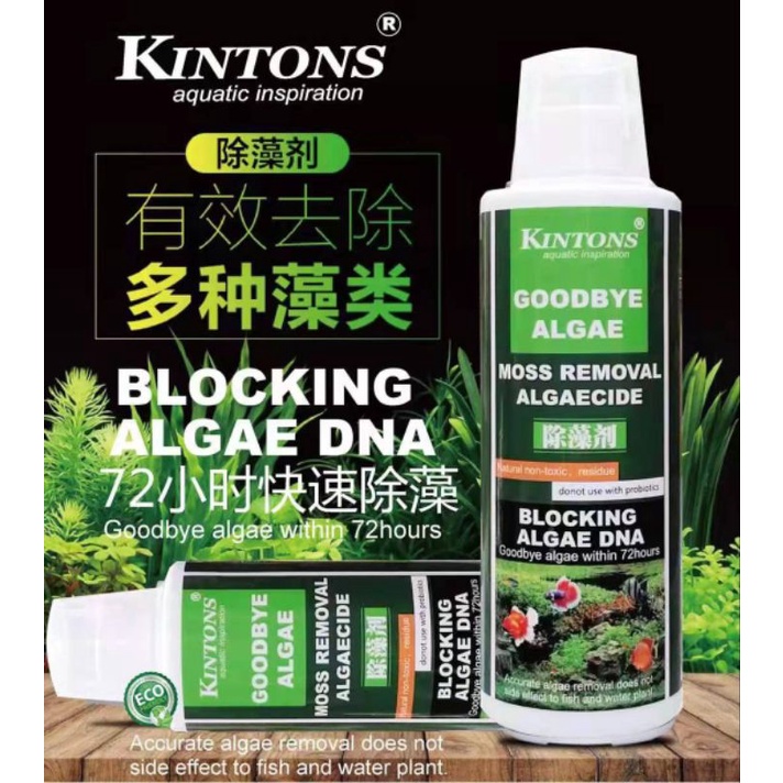 Kintons Goodbye Algae Blocking Algae ที่มีประสิทธิภาพ