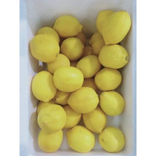 🍋เลมอนมะนาวฝรั่งลูกใหญ่ฯขายถูก5-6ลูก1kg💯เกรดส่งโรงแรมคัดสวยๆทุกลูก🍋👍