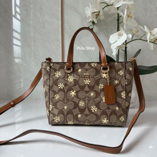 กระเป๋าสะพายลายเกล็ดหิมะ Coach CF378 Alice Satchel with Snowflake Print