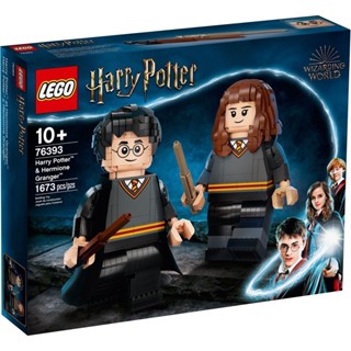 LEGO Harry Potter 76393 Harry Potter &amp; Hermione