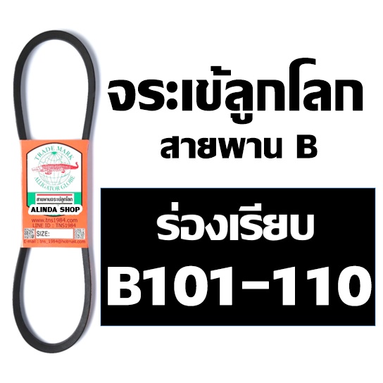 จระเข้ลูกโลก สายพาน (ร่อง B เรียบ) B111 B112 B113 B114 B115 B116 B117 B118 B119 B120