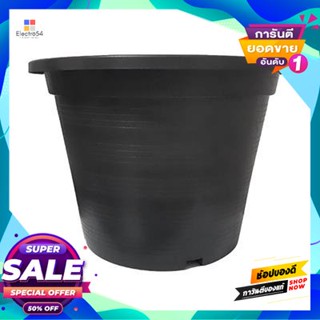 Black กระถางพลาสติกดำ TPS ขนาด 10.5 นิ้ว (แพ็ก 25 ชิ้น) สีดำ Black TPS Plastic Flower Pot Size 10.5 inches (Pack 25 pcs.