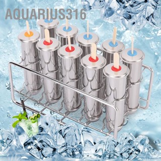 Aquarius316 แม่พิมพ์ไอศกรีม 304 ชิ้น