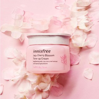 innisfree Jeju Cherry Blossom Tone up Cream 50ml K beauty moisturizer for skin