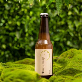 Sparkling Tea : Matcha - ชาซ่ารสมัจฉะ  (Packaging เก่า)