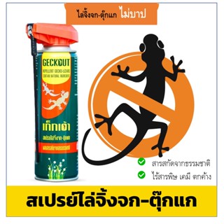 สเปรย์กำจัดจิ้งจก สเปรย์ไล่จิ้งจก ไล่จิ้งจกถาวร lizard repellent ไล่จิ้งจก สเปรย์ไล่จิงจก สเปรย์ไล่ตุกแก ยาไล่ตุ๊กแก