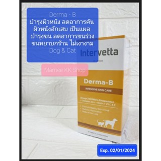 Derma B Skin care (100เม็ด) บำรุงขน ลดผิวหนังอักเสบ โรคผิวหนัง ลดคัน ขนเงางาม ไม่หลุดร่วง Dr.Choice สุนัข แมว (02/01/24)