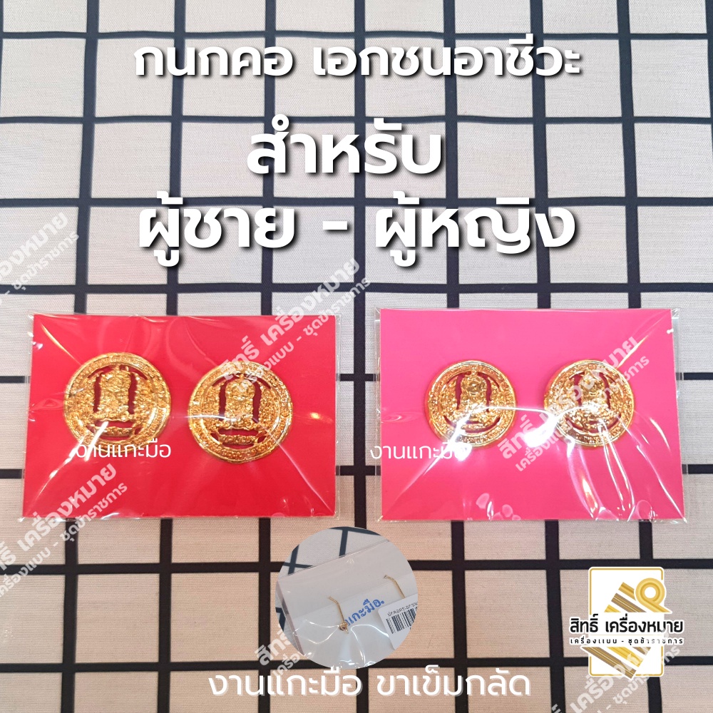 กนกคอเอกชนอาชีวะ สังกัดเอกชนอาชีวะ /เข็มติดปกคอเสื้อ-เครื่องหมายข้าราชการ-งานแกะมืออย่างดี (ขาเข็มกลัด)