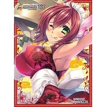 Nexton Girls Sleeve Collection Vol.062 Shin Koihime Eiyu Tan [Rian]