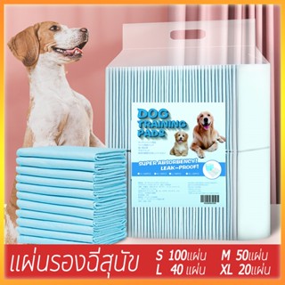 แผ่นรองฉี่สุนัข แผ่นรองฉี่กระต่าย แผนรองฉี่สุนัข ห้องน้ำหมา แผ่นรองฉี่สัตว์เลี้ยง ช่วยฝึกขับถ่าย ระงับกลิ่น ซึมซับไดีดี