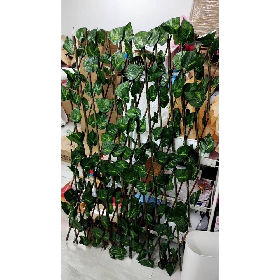 ฉากกั้นห้อง ต้นไม้เทียมยืดหด  ต้นไม้แต่งบ้าน มี 3 ขนาด 1661 - รูปที่ 4