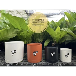 ‼️ถูก และหนา‼️ กระถางต้นไม้ทรงท่อ ทรงกระบอก สไตล์มินิมอล พร้อมจานรอง