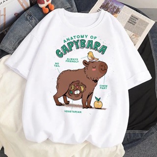 Capybara Capibara เสื้อยืด สไตล์ญี่ปุ่น ฮาราจูกุ สําหรับผู้หญิง y2k