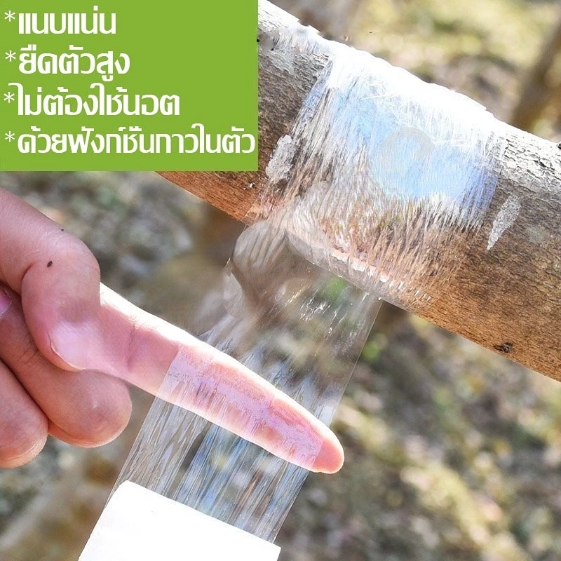 เทปพันกิ่งไม้ 3cmx120m ทาบกิ่ง ตอนกิ่ง ติดตาต้นไม้ thumbnail 7