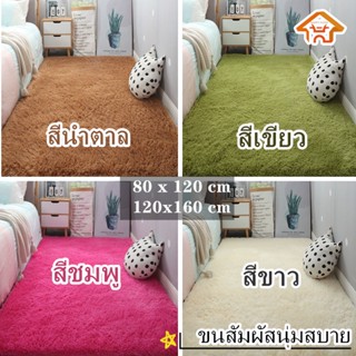 HAPPY HOME พรม พรมปูพื้น การันตีถูกเเละดี ผ้าปูพื้น ตกเเต่งสวย หลายขนาด 120x80cm/120x160cm