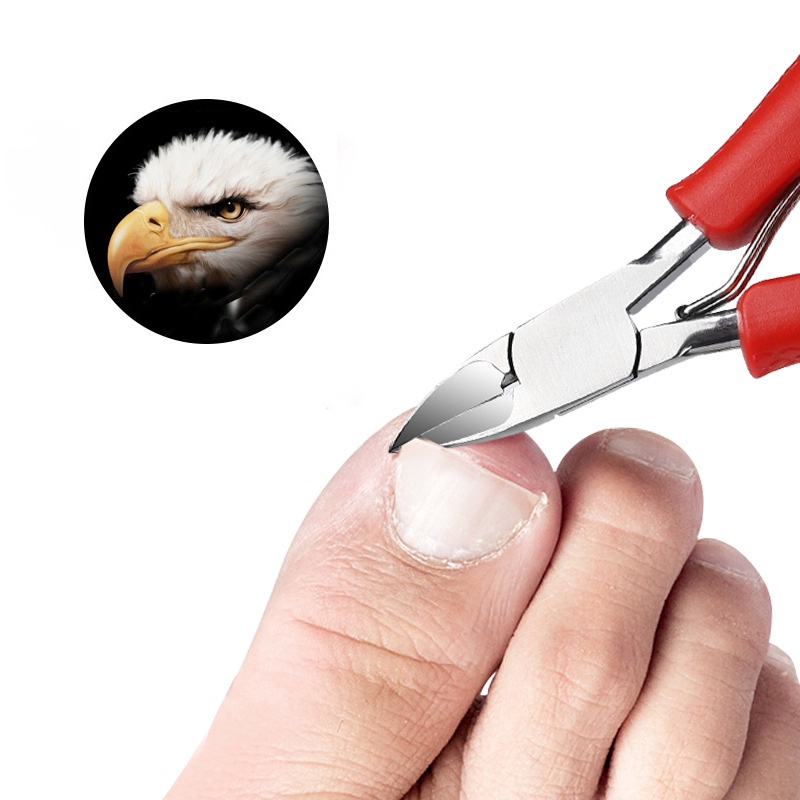 กรรไกรตัดเล็บขบ ตัดหนัง สแตนเลสคีมคู่กรรไกรพิเศษสำหรับเล็บเท้า กรรไกรตัดเล็บเท้าชุด16ชิ้น/4ชิ้นชุด - รูปที่ 6