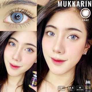 WinkWow Muk Karin Eff.19 Gray ใหญ่